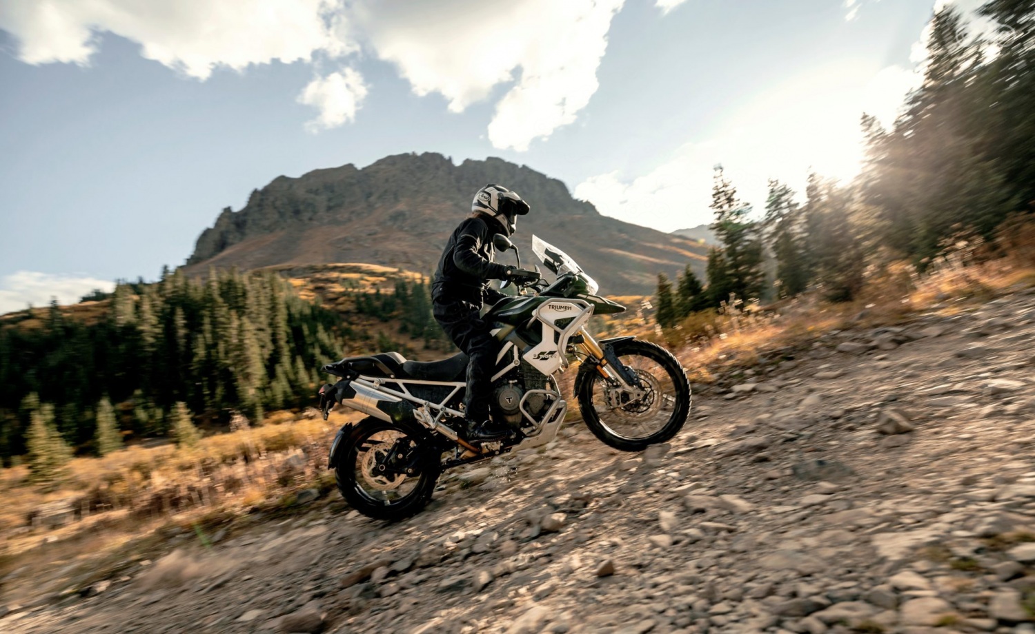 Triumph Tiger 900 Rally