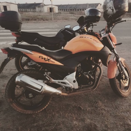 Stels_Flex_250_2013