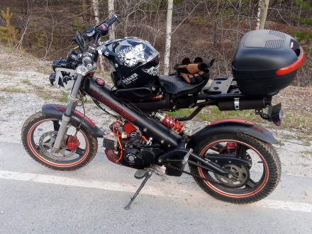 Sachs_MadAss_50_2012