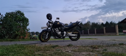 Honda_CB600_F_Hornet_2003