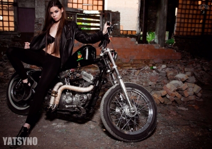 Harley-Davidson_883_Sportster_Standard_2006