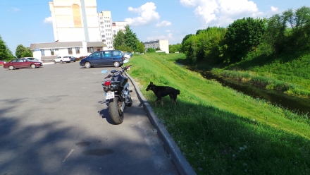 Yamaha_FZ6-N_2004