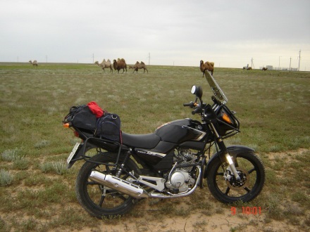 Yamaha_YBR_125_2013