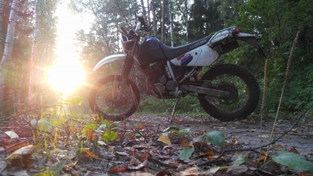 Suzuki_Djebel_250_XC_1998
