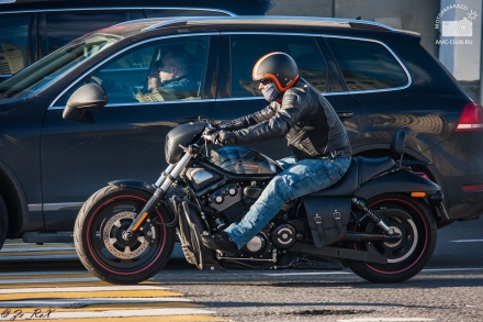 Harley-Davidson_VRSCDX_Night_Rod_Special_2011