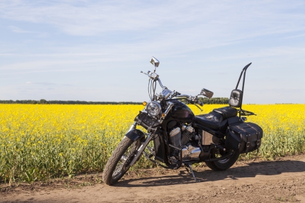 Honda_Steed_600