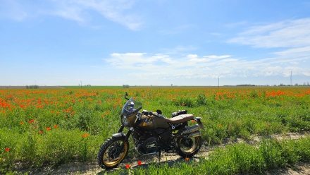 BMW_R_nineT_Scrambler_2022