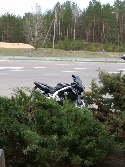 Yamaha_YZF_1000_R_Thunderace_1997
